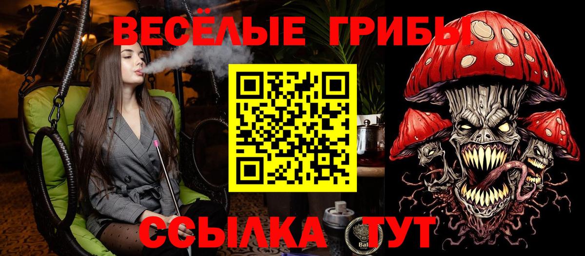 Псилоцибиновые грибы прущие грибы Анапа